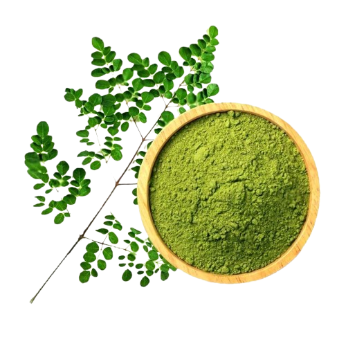 Moringa Powder