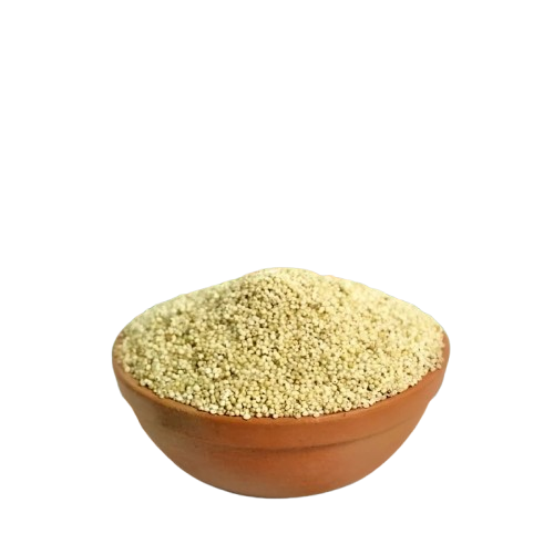 Little Millet