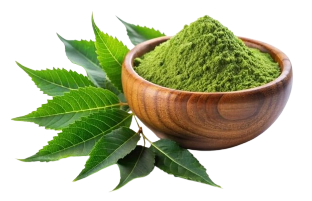 Neem Leaves Powder