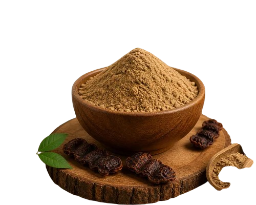 Shikakai Powder